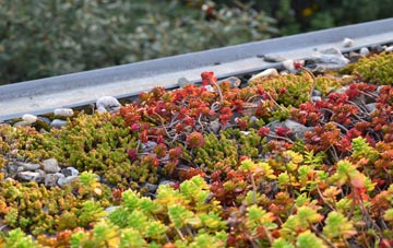 the cost of Knypersley green roof installation