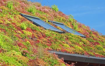 Knypersley living roof systems
