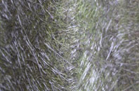 Knypersley fibreglass roof work